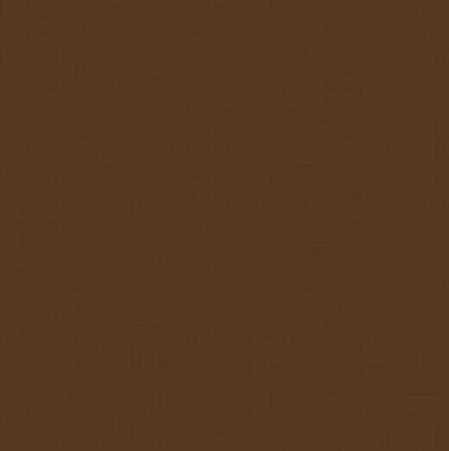 Phan &amp; Co Brow Stain | Chocolate