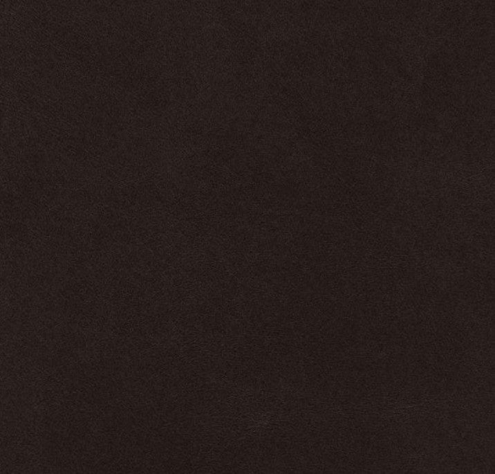 Phan &amp; Co Brow Stain | Ebony