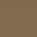 Phan & Co brow stain soft brown 100ml 2