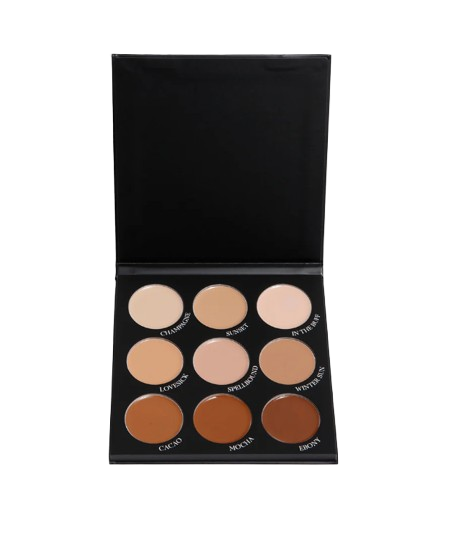 Pro brow & concealer palette