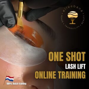 elleebana one shot lashlift formation en ligne
