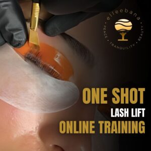 elleebana one shot lashlift online training